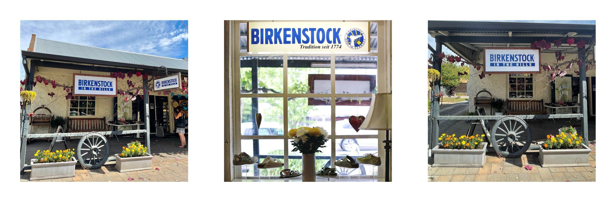 Birkenstock in the Hills History